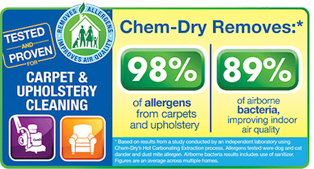 Four Season's Chem-Dry can Remove Allergens