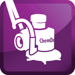 Carpet Cleaning Service
