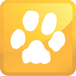 pet urine cleaning